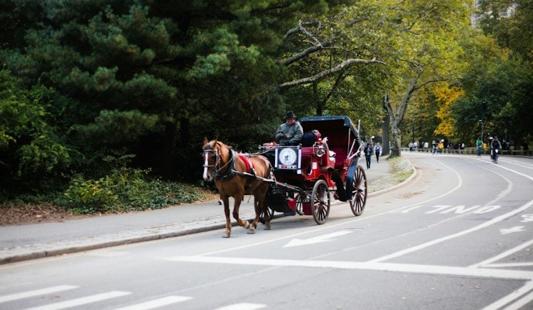 Central Park Carriage Flips on 7th Ave Line as Spooked Horse Breaks Free