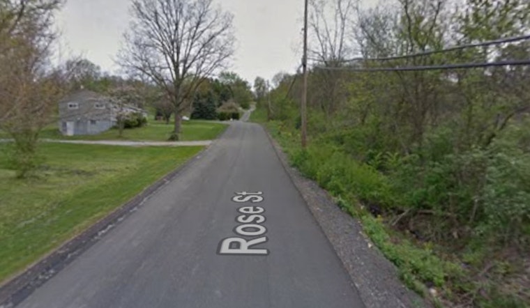 Chester Video Spurs PSPCA Probe Into Alleged Cat Poisoning