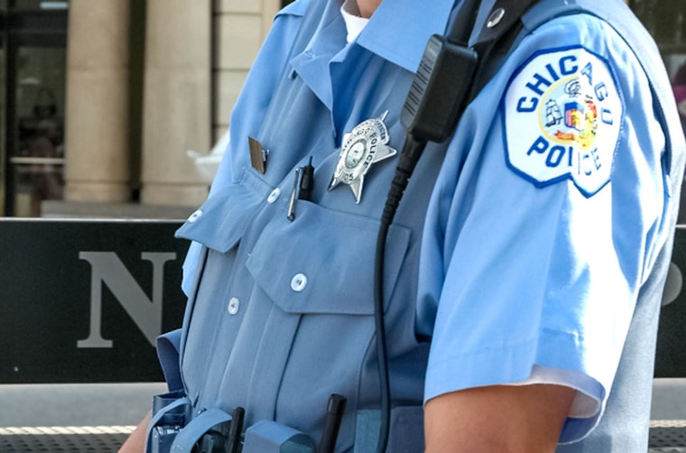 Chicago Police Limit Drop-Offs For Found Pets