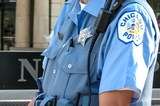 Chicago Police Limit Drop-Offs For Found Pets