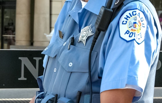 Chicago Police Limit Drop-Offs For Found Pets