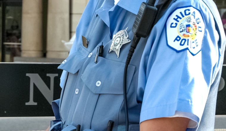 Chicago Police Limit Drop-Offs For Found Pets