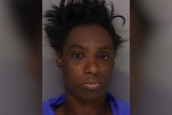 Cincy Mom Busted After Toddlers Left Alone In Unlocked Sherman Ave Pad