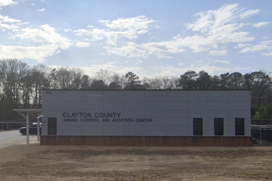 Clayton County Shelter’s ‘Heart-Stick’ Dog Deaths Spark Outrage And Records Fight