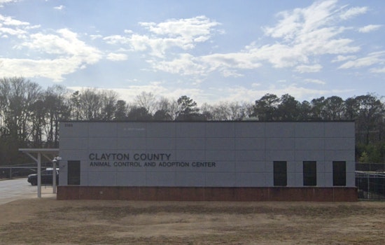 Clayton County Shelter’s ‘Heart-Stick’ Dog Deaths Spark Outrage And Records Fight