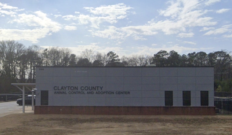Clayton County Shelter’s ‘Heart-Stick’ Dog Deaths Spark Outrage And Records Fight