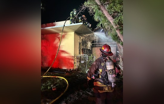Clearwater Beach Woman Livestreams Threat and Then Torches Boyfriend’s Shed, Cops Say