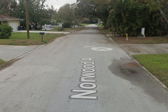 Clearwater Family Bolts From Garage Blaze As Three Cats Tragically Die