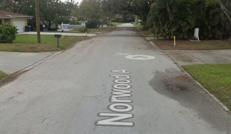 Clearwater Family Bolts From Garage Blaze As Three Cats Tragically Die
