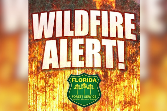 Clermont Wildfire Near Pretty Lake Road Prompts Response