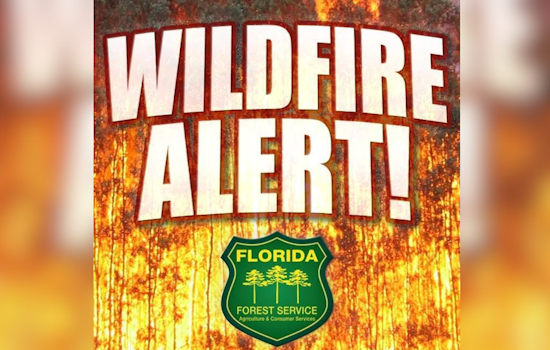 Clermont Wildfire Near Pretty Lake Road Prompts Response
