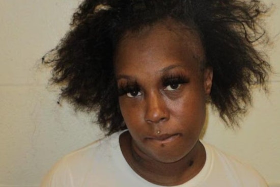 Cleveland Fugitive Accused Of Starving Dogs Vanishes After Court No-Show
