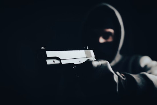 Cleveland West Side Robbery Try Ends With Dog Shot Dead
