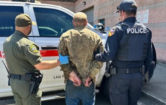 Cloverdale Manhunt Ends With Arrest In String Of North Bay Arsons