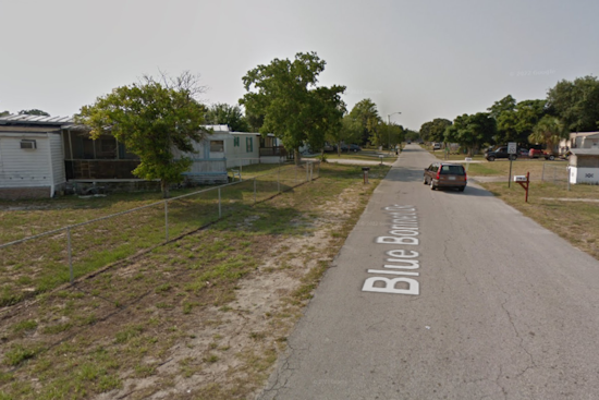 Cocoa Block Shaken After Escaped Dogs Maul Woman To Death