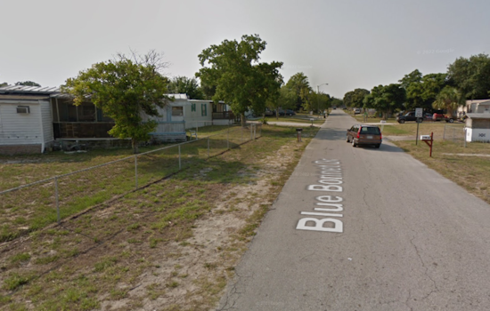 Cocoa Block Shaken After Escaped Dogs Maul Woman To Death