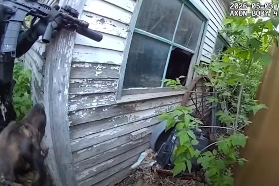 Coffee Run Caper: Jeffco K-9 Nabs Suspect Hiding In Backyard Shed