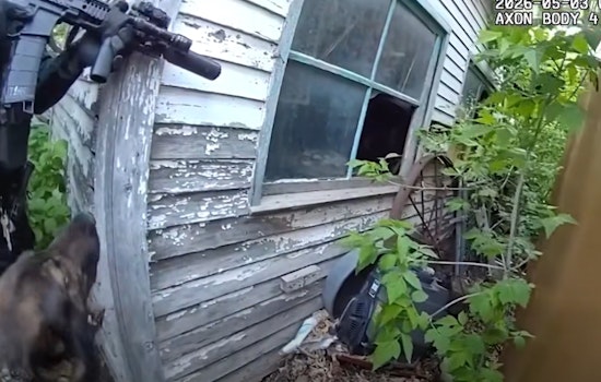 Coffee Run Caper: Jeffco K-9 Nabs Suspect Hiding In Backyard Shed