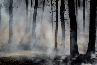 Concow On Edge As New Plumas County Wildfire Erupts