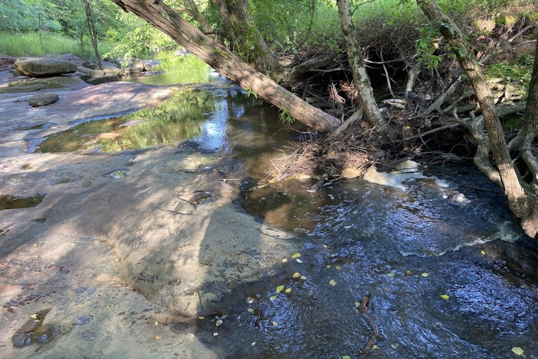 Contractor Blunder Drenches Brier Creek with 1.1 Million Gallons of Raw Sewage