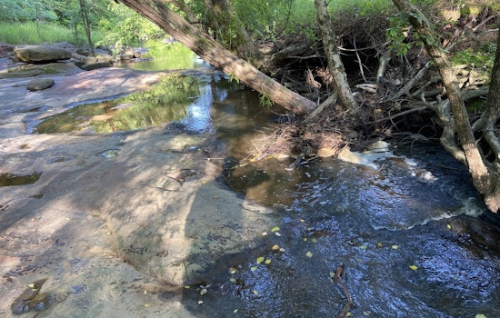 Contractor Blunder Drenches Brier Creek with 1.1 Million Gallons of Raw Sewage