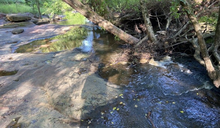 Contractor Blunder Drenches Brier Creek with 1.1 Million Gallons of Raw Sewage