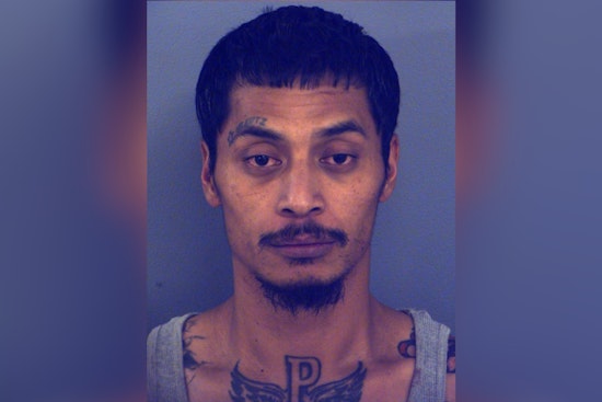 Cops Collar Rifle-Toting Suspect After Chaos On Devontry Drive
