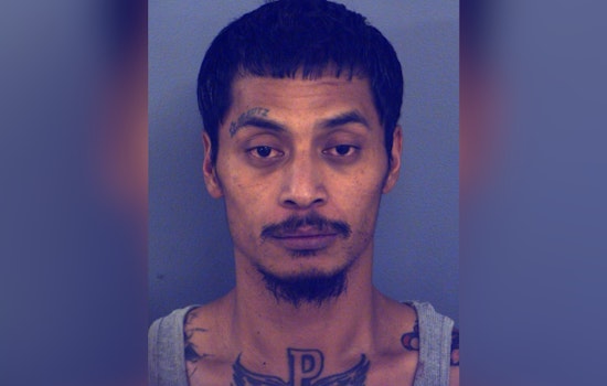 Cops Collar Rifle-Toting Suspect After Chaos On Devontry Drive