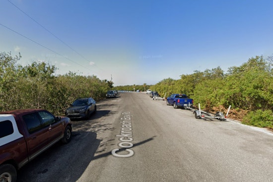 Cops Collar Two After Gunfire Rips Past Ruskin RV