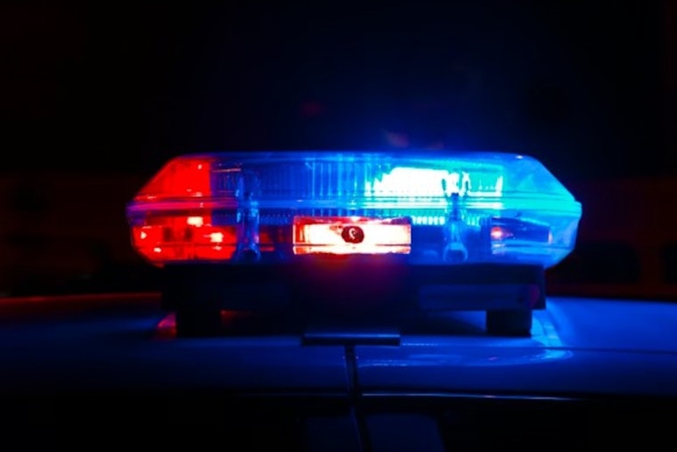 Cops Say Audi Partygoer Ran Down Neighbor's Dog on Villa Rica Street