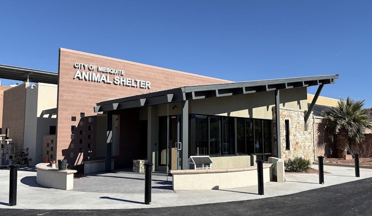 Crammed Kennels In Mesquite After Cops Yank 77 Dogs From RV