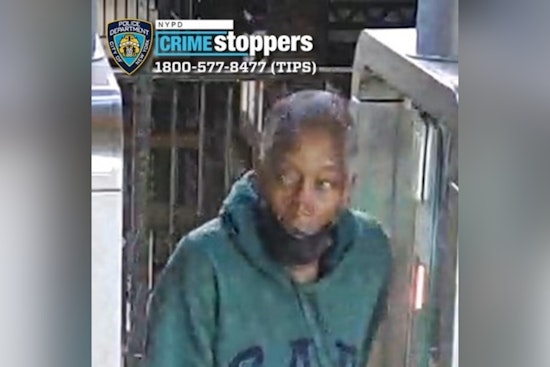 Creep Slugs 66-Year-Old Woman on Bronx 6 Train as Cops Hunt Suspect