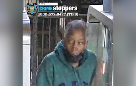 Creep Slugs 66-Year-Old Woman on Bronx 6 Train as Cops Hunt Suspect