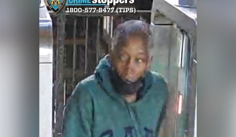 Creep Slugs 66-Year-Old Woman on Bronx 6 Train as Cops Hunt Suspect