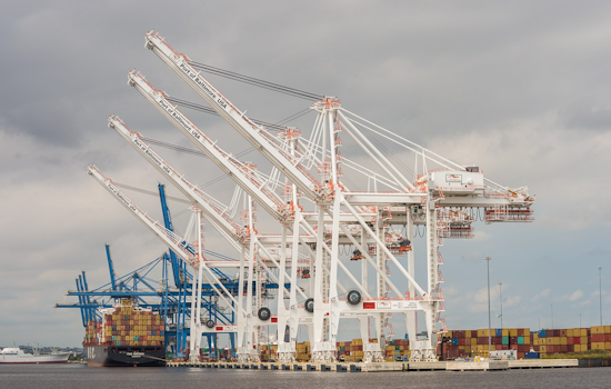 Crucial Baltimore Port Bridge Slams Shut To Trucks Over Safety Fears
