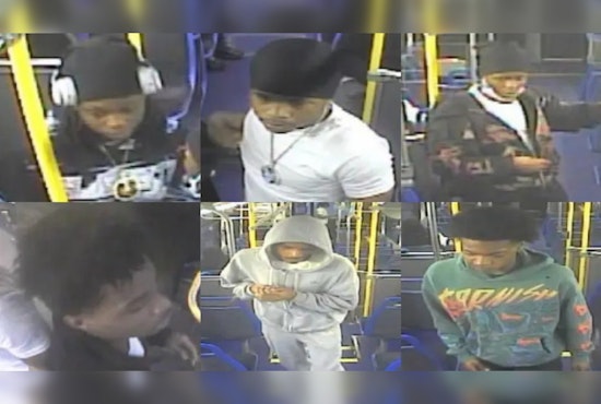 CTA Bus Mob Sought In South Side Beatdown