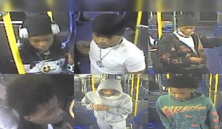 CTA Bus Mob Sought In South Side Beatdown