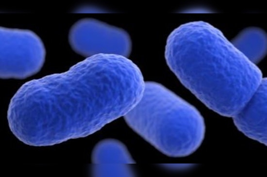 Daisy Headcheese Linked to Listeria, IDPH Warns