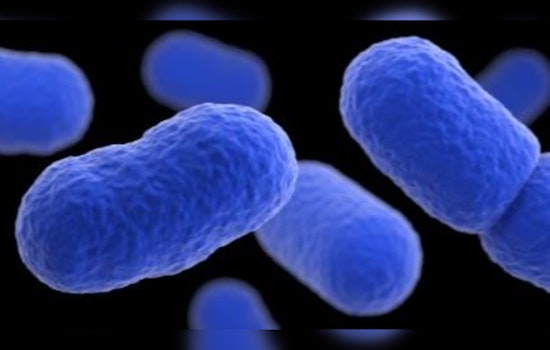 Daisy Headcheese Linked to Listeria, IDPH Warns
