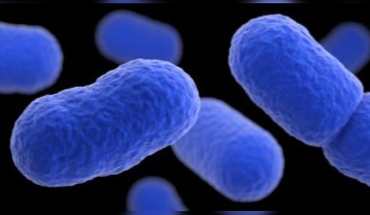 Daisy Headcheese Linked to Listeria, IDPH Warns