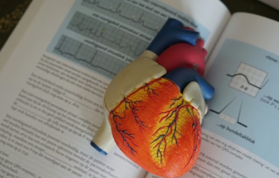 Dallas Docs’ AI Heart Test Spots Silent Heart Failure In Kenyan Clinics