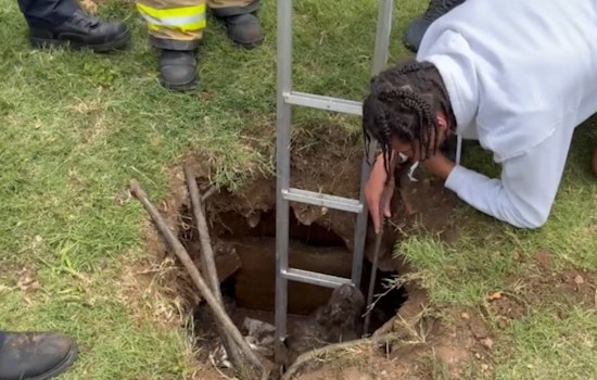 Dallas Firefighters Muscle 200‑Pound Mastiff Out Of Backyard Water Pit