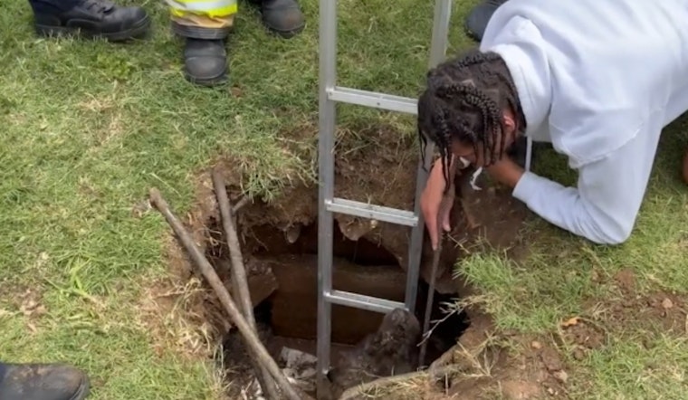 Dallas Firefighters Muscle 200‑Pound Mastiff Out Of Backyard Water Pit