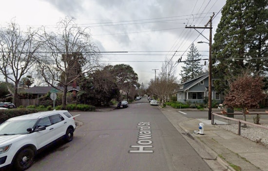 Deadly Gust On Howard Street As Tree Branch Kills Santa Rosa Man