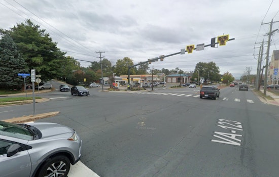 Deadly Oakton Bridge Crash Kills Two, Sends Kids To Hospital