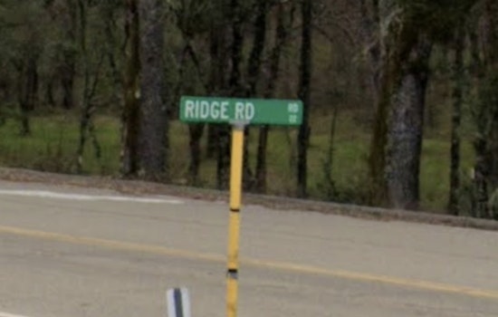 Deadly Ridge Road Head-On Crash Kills Pine Grove Driver