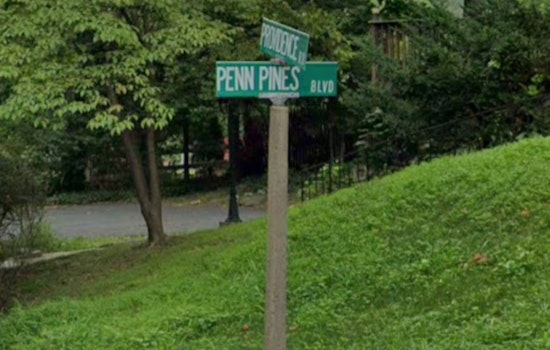 Delco Teen To Be Charged In Swarthmore Professor's Death