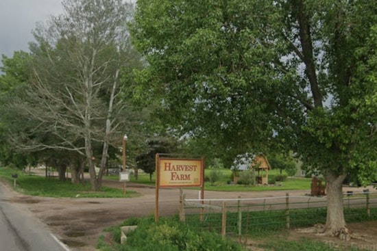 Denver Rescue Mission Axes Wellington’s Harvest Farm, Dozens Face Displacement