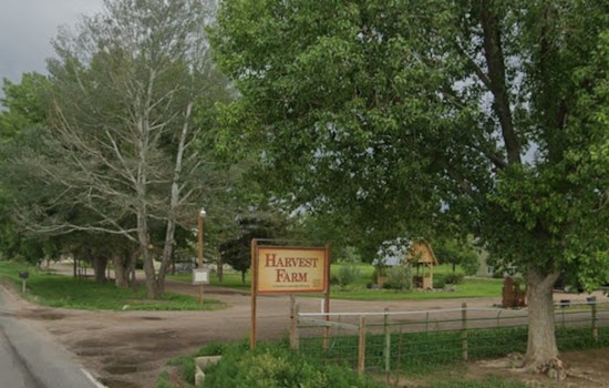 Denver Rescue Mission Axes Wellington’s Harvest Farm, Dozens Face Displacement