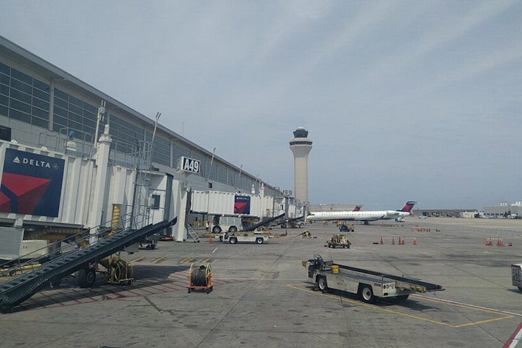 Detroit Airport Luggage Check Turns Up Fully Cooked Pig